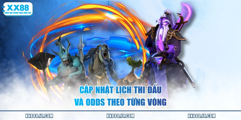 Cập nhật lịch thi đấu và odds theo từng vòng
